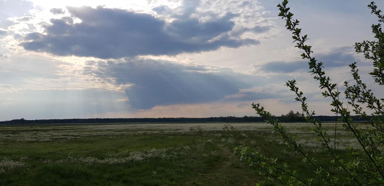 Zdalnie Z Lasu - Siedlisko W Puszczy Bialowieskiej Narewka Kültér fotó